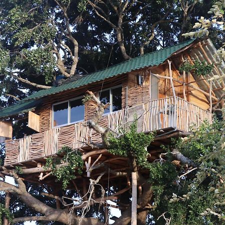Yala Dream Park Hotel Екстериор снимка