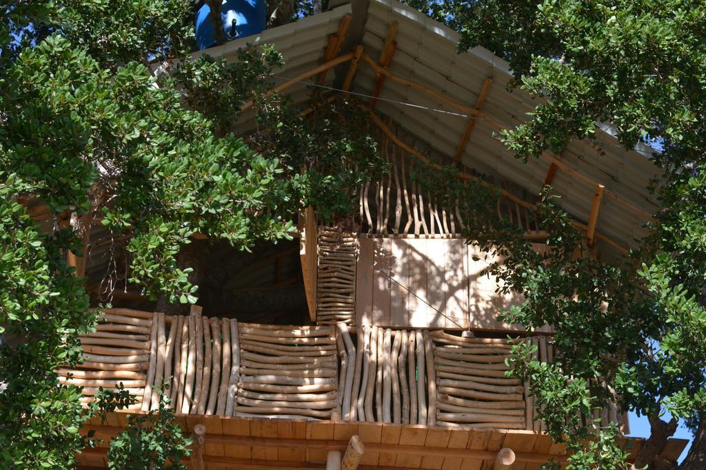 Yala Dream Park Hotel Екстериор снимка
